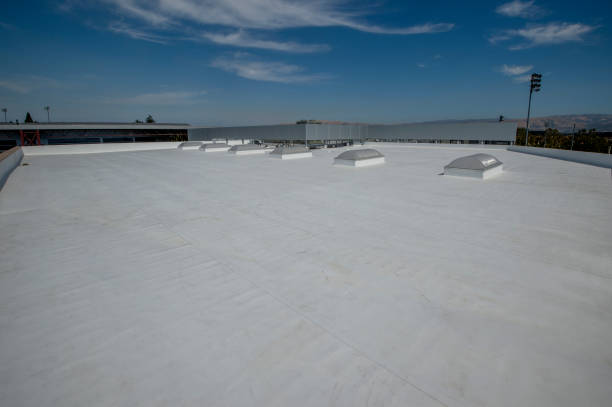 Best Roof Moss and Algae Removal  in Pioneer, CA