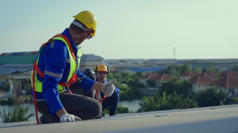 Trusted Pioneer, CA Roofing Service Experts