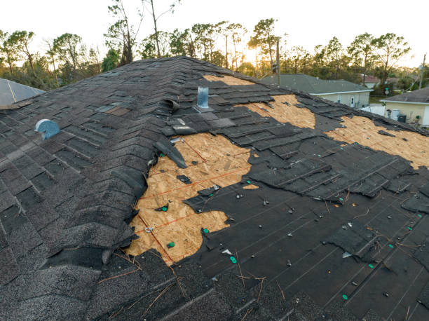 Best Roof Coating and Sealing  in Pioneer, CA