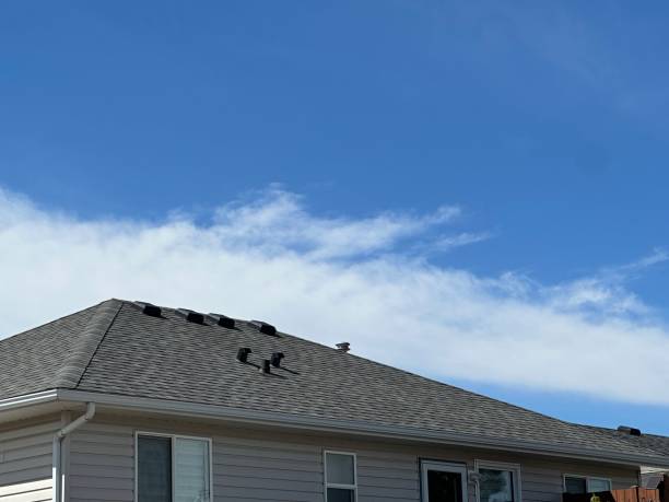 Best Chimney Flashing Repair  in Pioneer, CA